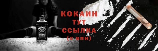 твердый Арсеньев