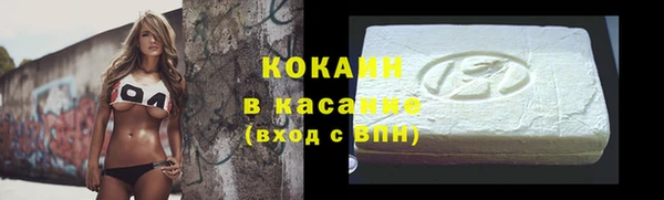 твердый Арсеньев