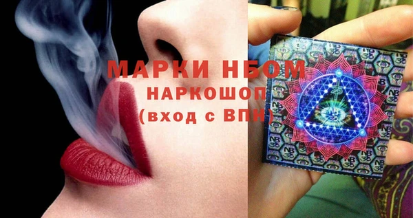 твердый Арсеньев