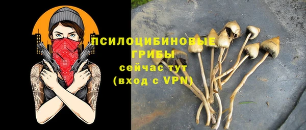 ПСИЛОЦИБИНОВЫЕ ГРИБЫ Армянск