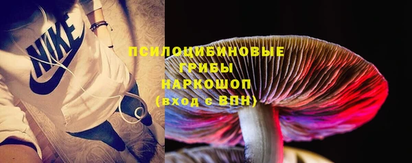 ПСИЛОЦИБИНОВЫЕ ГРИБЫ Армянск