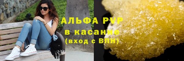 твердый Арсеньев