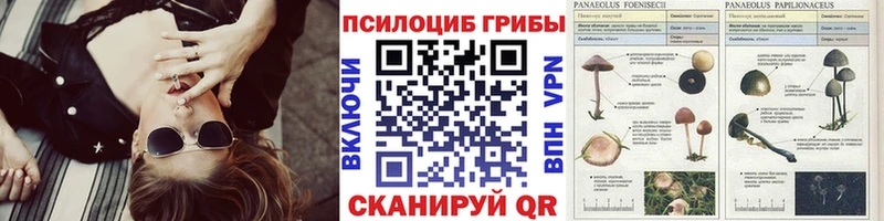 даркнет сайт  Урай  Галлюциногенные грибы Magic Shrooms 